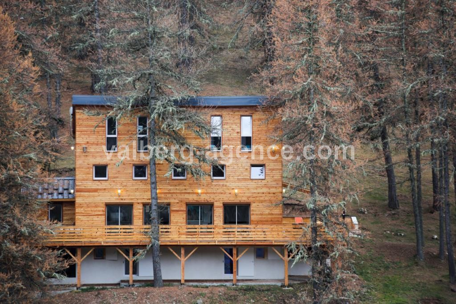 Image_, Chalet, Beuil, ref :3013