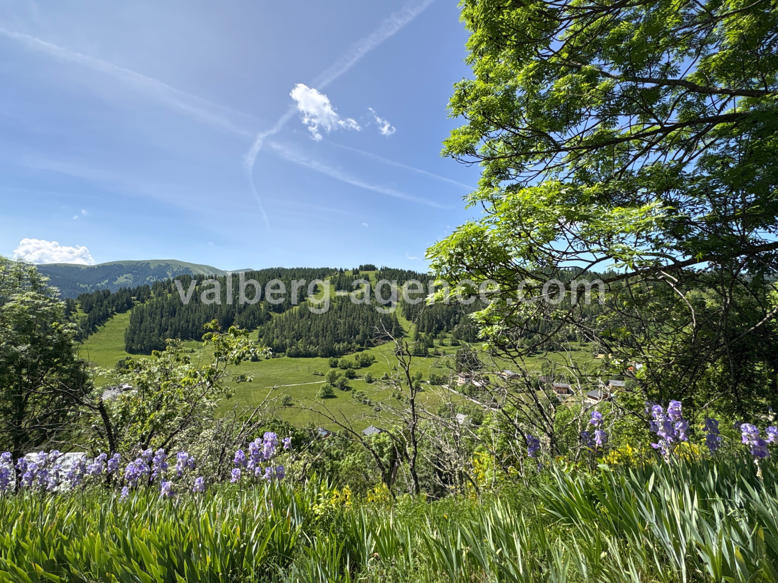 Image_, Chalet, Beuil, ref :3346
